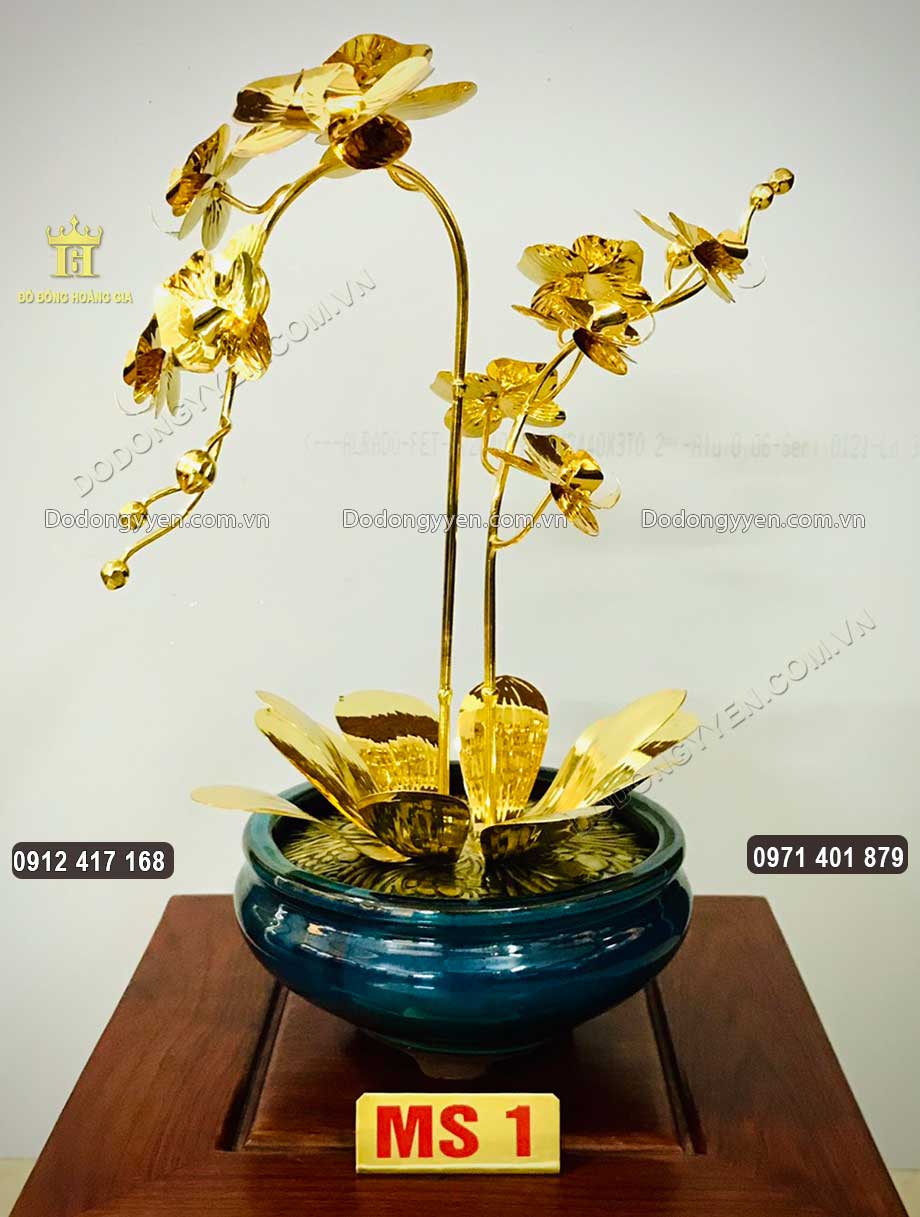 Mẫu chậu hoa Lan 01
